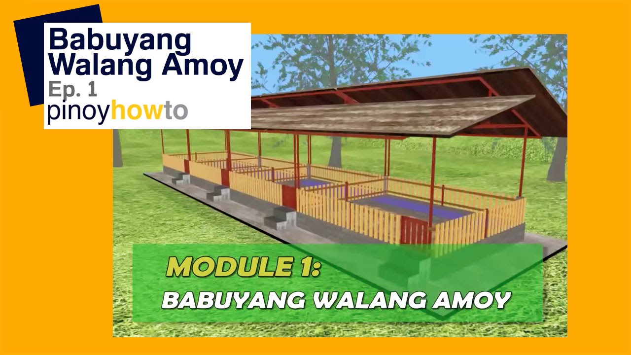 baboyang walang amoy pdf free